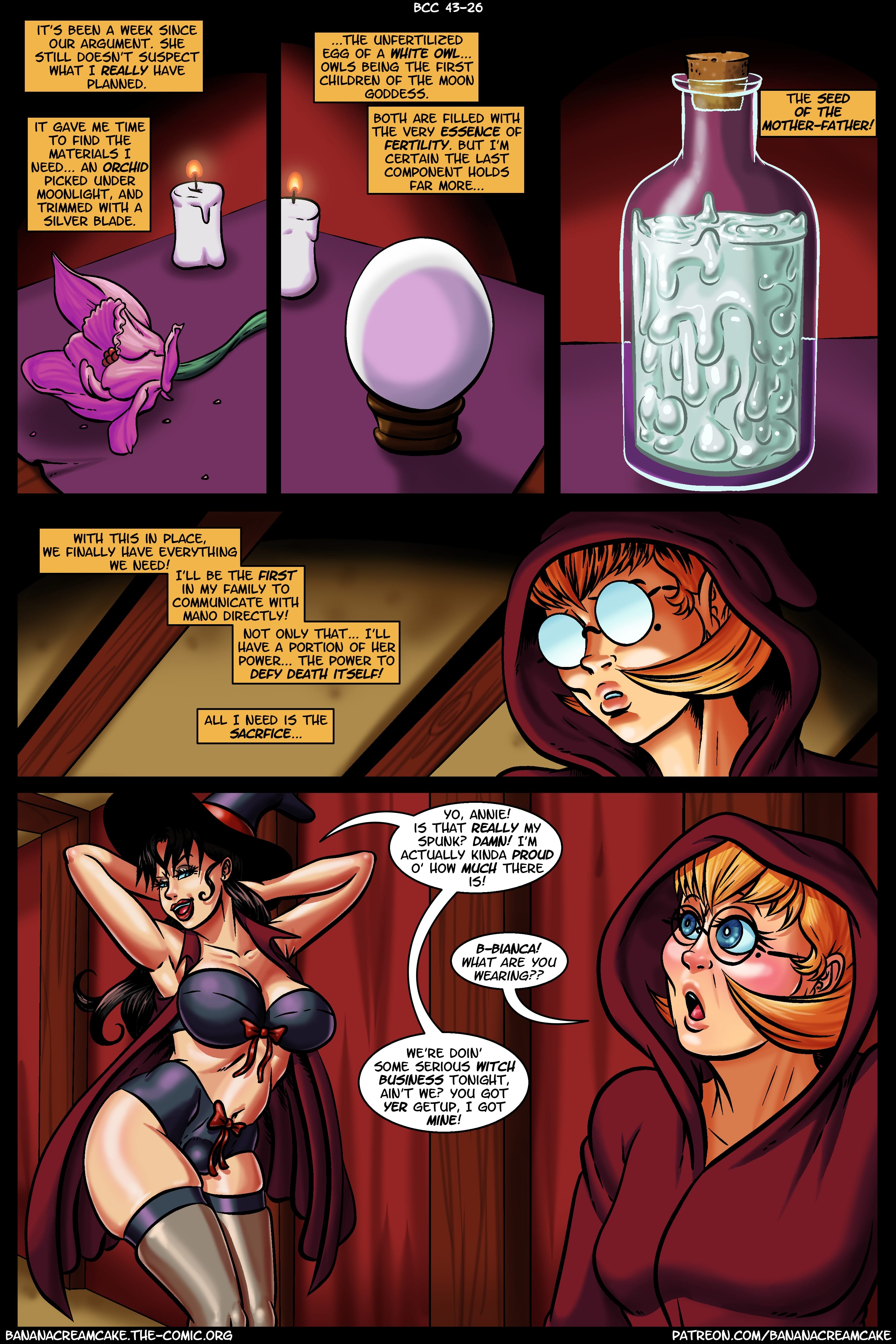 Banana Cream Cake [Transmorpher D.D.S.] Chapter 43 - Flight Of Witches - Page 27