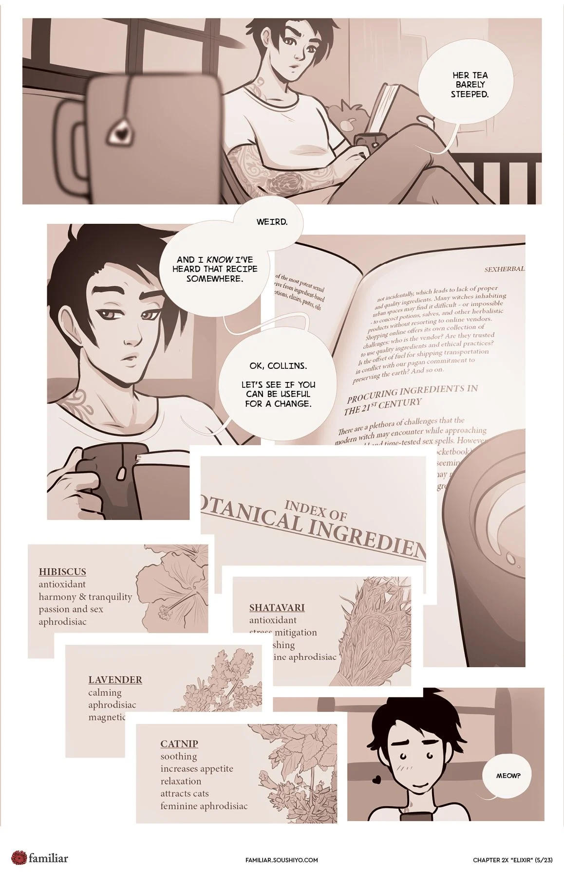 Familiar [Soushiyo] Chapter 08.5 - Elixir - Page 6